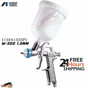 Anest Iwata W300WB Professional Spray Gun Kit | 1.2mm Nozzle + 200ml Gravity Cup