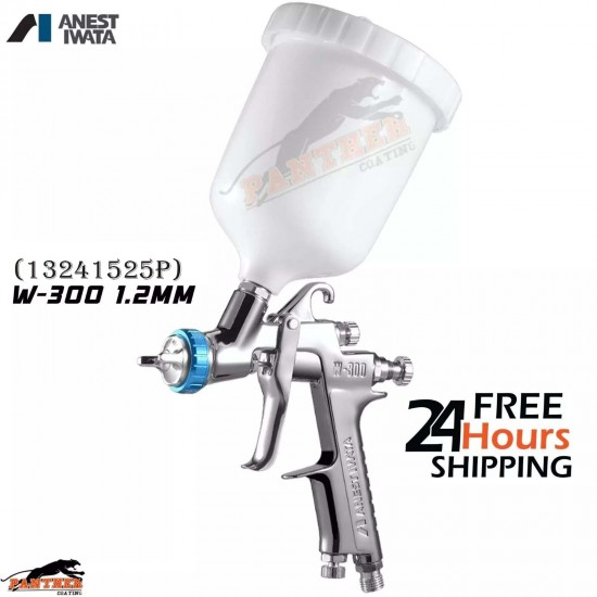 Anest Iwata W300WB Professional Spray Gun Kit | 1.2mm Nozzle + 200ml Gravity Cup