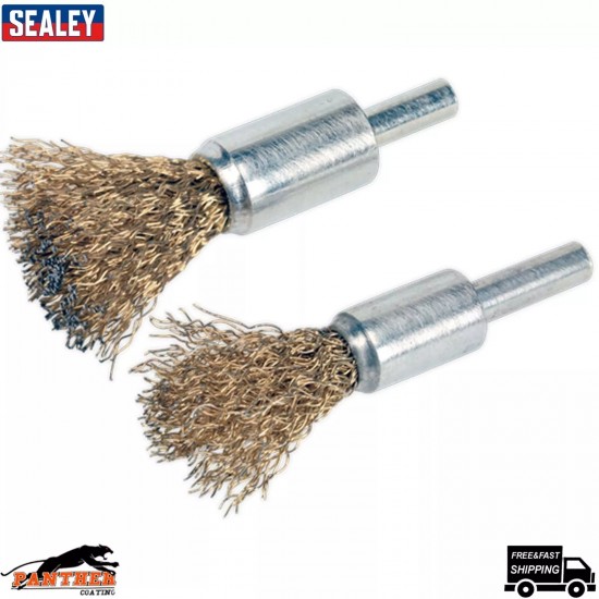 Sealey 2pc Decarbonising Brush Set for Automotive Use - VS1801